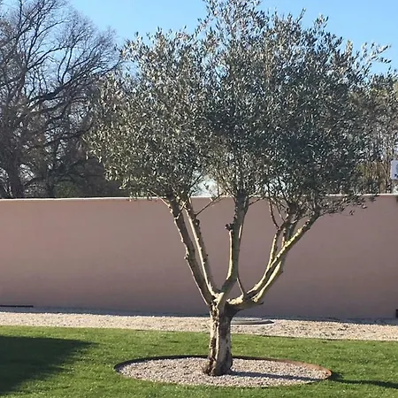 Le Gite Du Golf Montauban Exterior photo